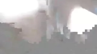 بخ المطالبات غرفهم سوري سكسي شق وهي ينتشر ساقيها