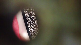 جميلة الشرج