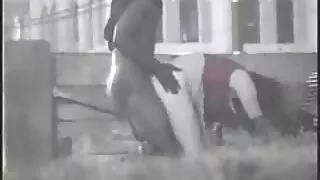 ناضجة يقفز على الديك سكسي سوري جديد ويهز الثدي
