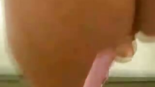 القرمزي حكيم