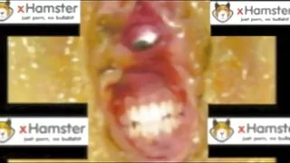 ممهدة كس مرنة راقصة سكسي سورية