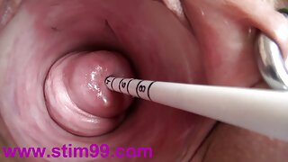 كبارا وصغارا