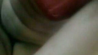 سيرينا أفاري