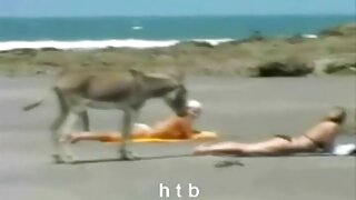 سكران