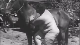 رجل الملاعين حلق ماندن ذات الشعر الأحمر سكسي سوري سكسي سوري جبهة تحرير مورو الإسلامية مع الأظافر الطويلة
