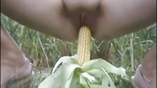 يقفز على رأس الحمار