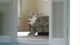 عارضة تبا